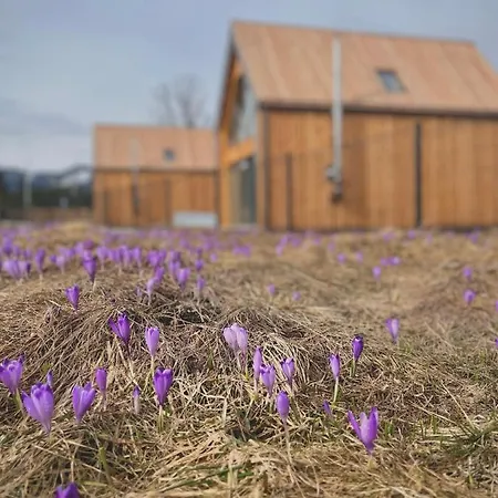 Tatry Zachodnie Holiday home Witow (Tatra)