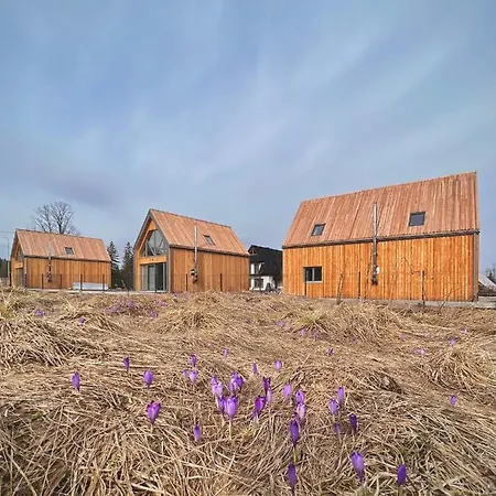 Holiday home Tatry Zachodnie Witow (Tatra)