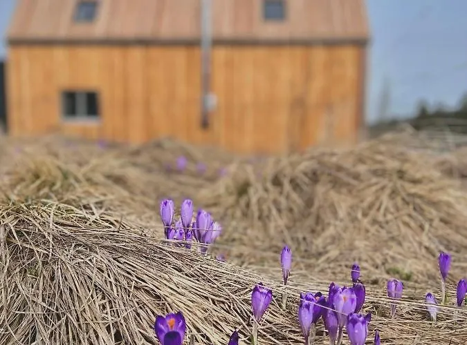 Feriehus Tatry Zachodnie